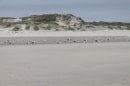 plage du Touquet à Berck